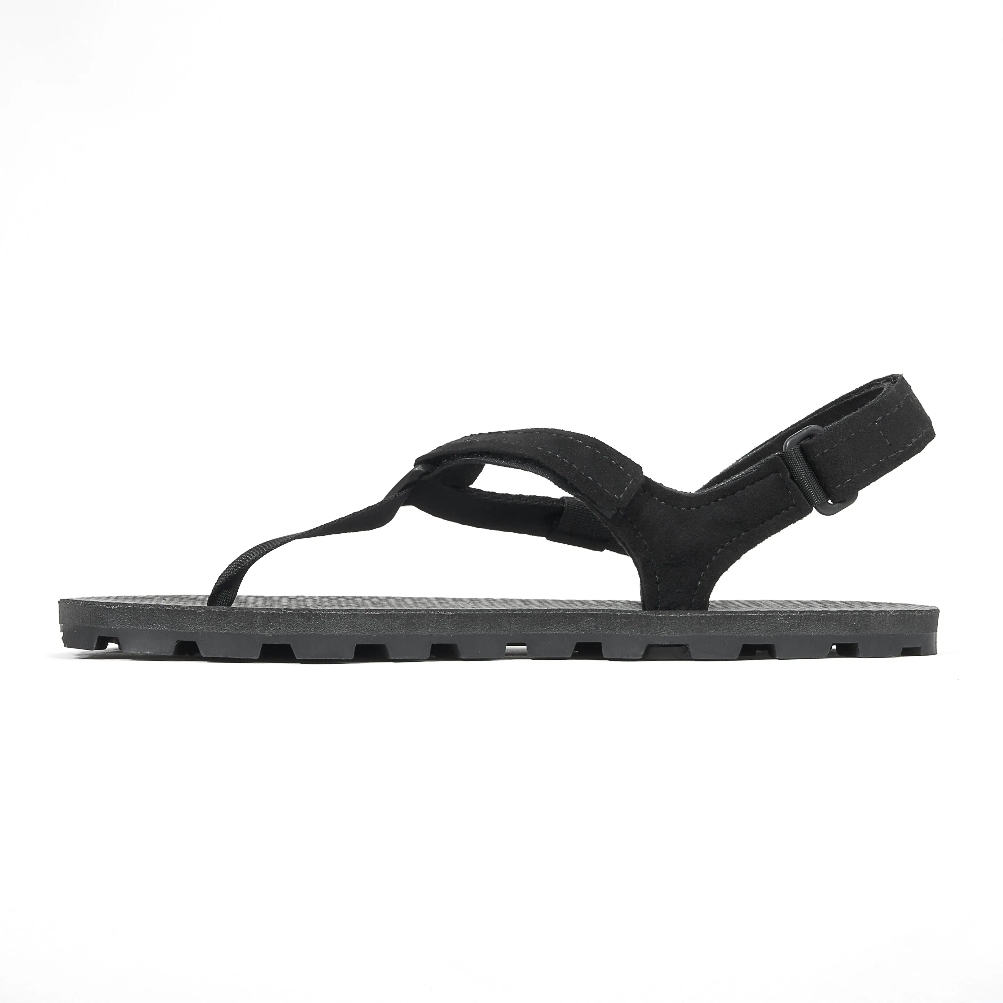 Ibex: Wholesale