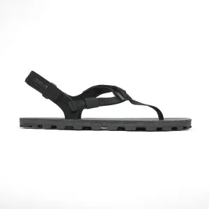 Ibex: Wholesale