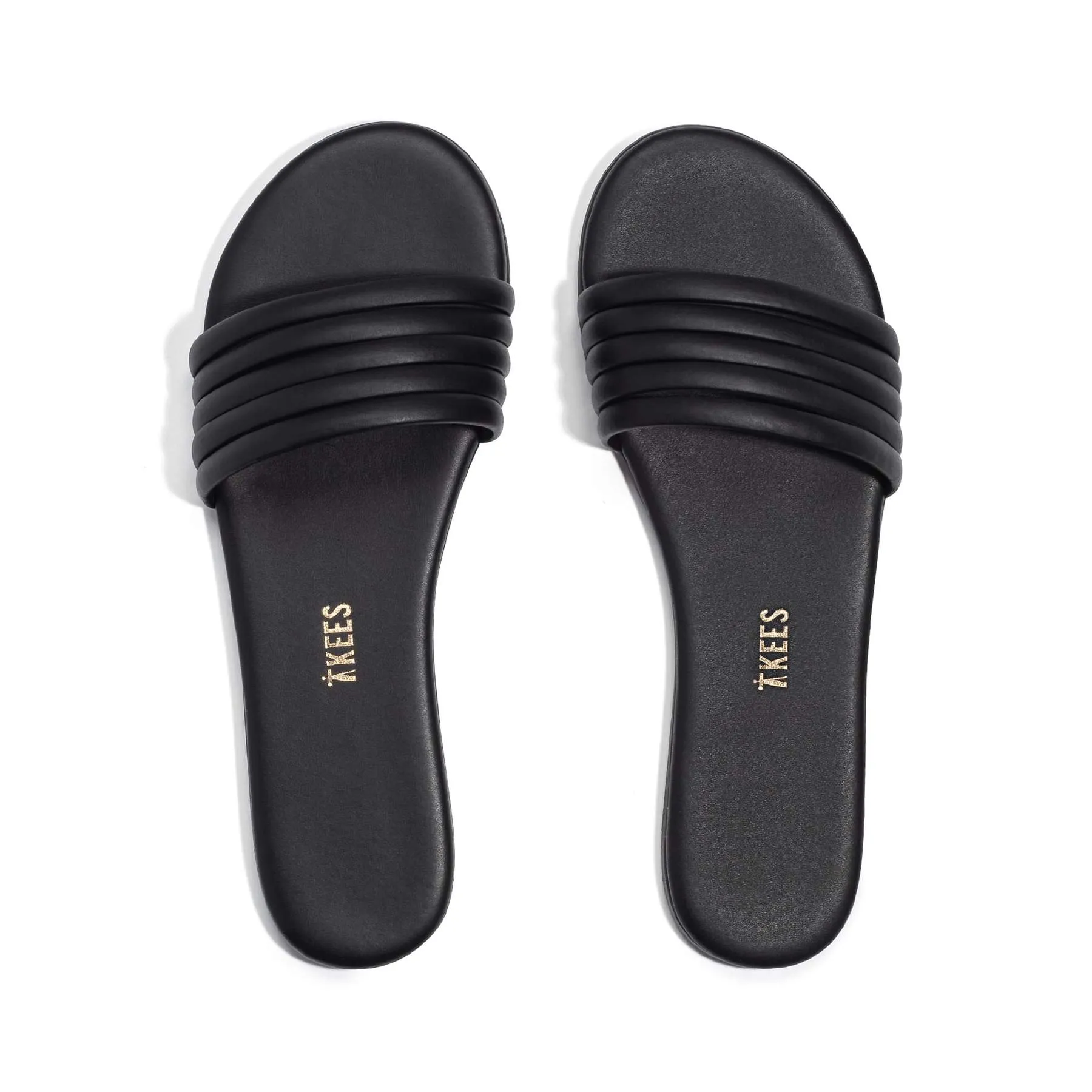 TKEEs Serena Slides
